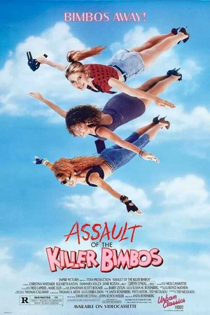 Affiche du film : The assault