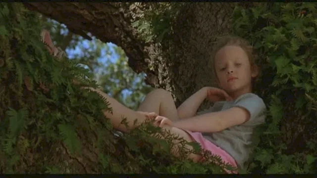 Photo 3 du film : Paradise