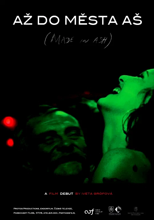 Affiche du film : Made in Ash