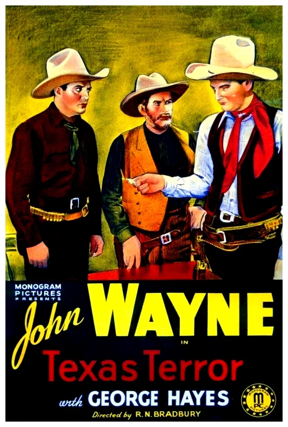 Affiche du film : Texas terror