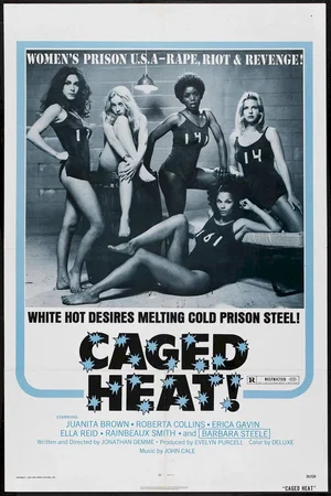 Affiche du film : Cinq femmes a abattre