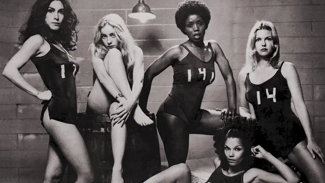 Photo 2 du film : Cinq femmes a abattre