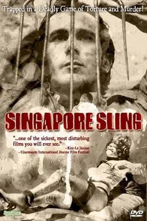 Affiche du film : Singapore sling