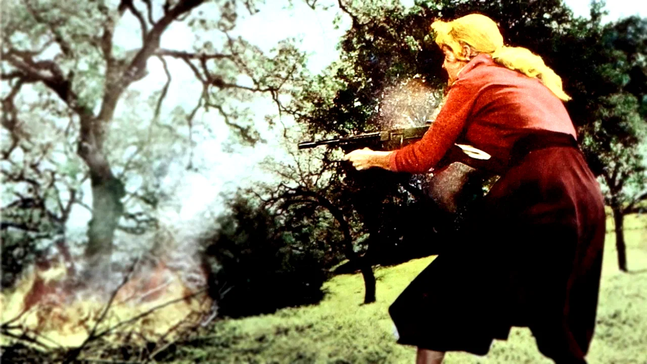 Photo du film : The bonnie parker story