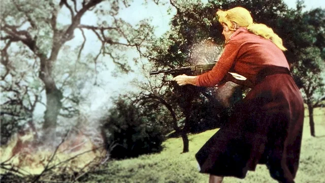 Photo 2 du film : The bonnie parker story