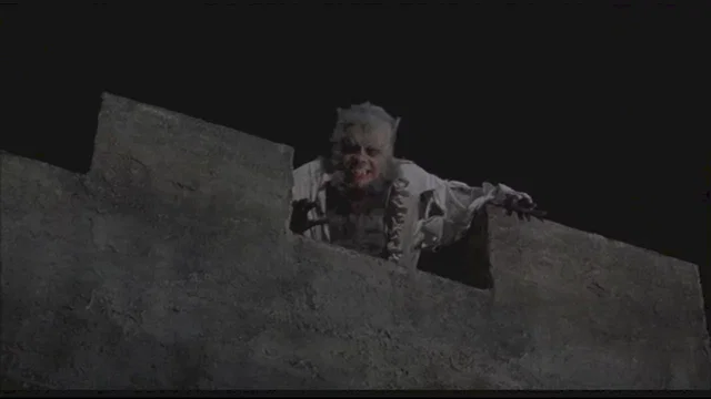 Photo 3 du film : La nuit du loup garou
