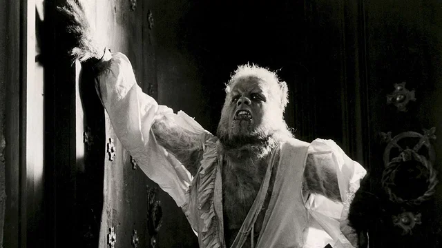 Photo 4 du film : La nuit du loup garou