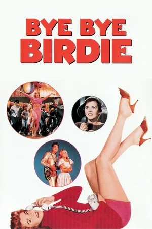 Affiche du film : Bye bye birdie