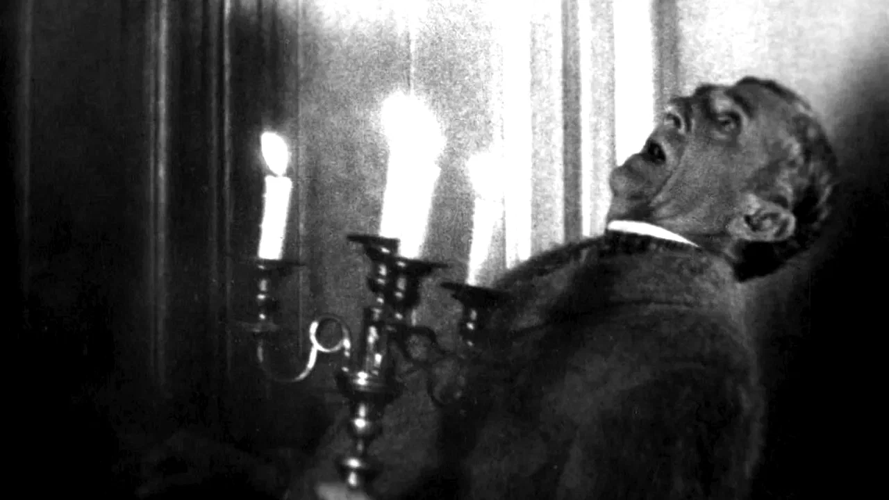Photo 10 du film : Vampyr