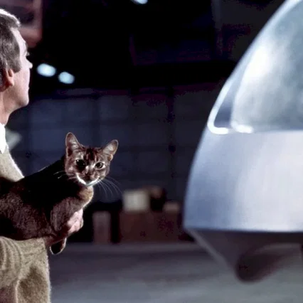 Miniature photo du film : Le chat qui vient de l'espace