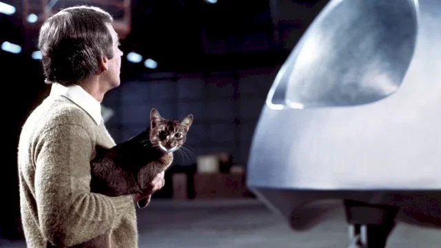 Photo du film : Le chat qui vient de l'espace