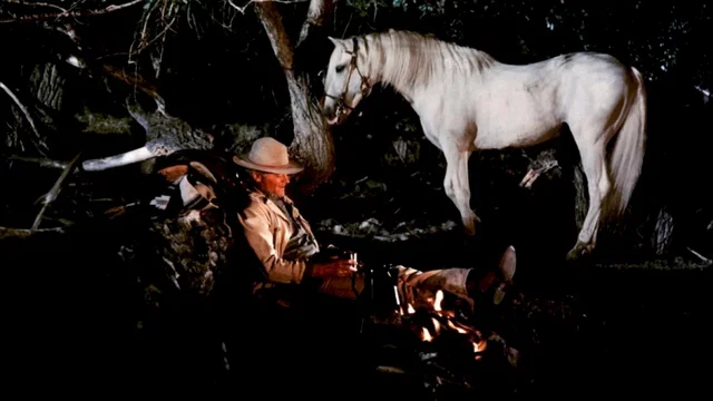Photo 2 du film : Lucky luke
