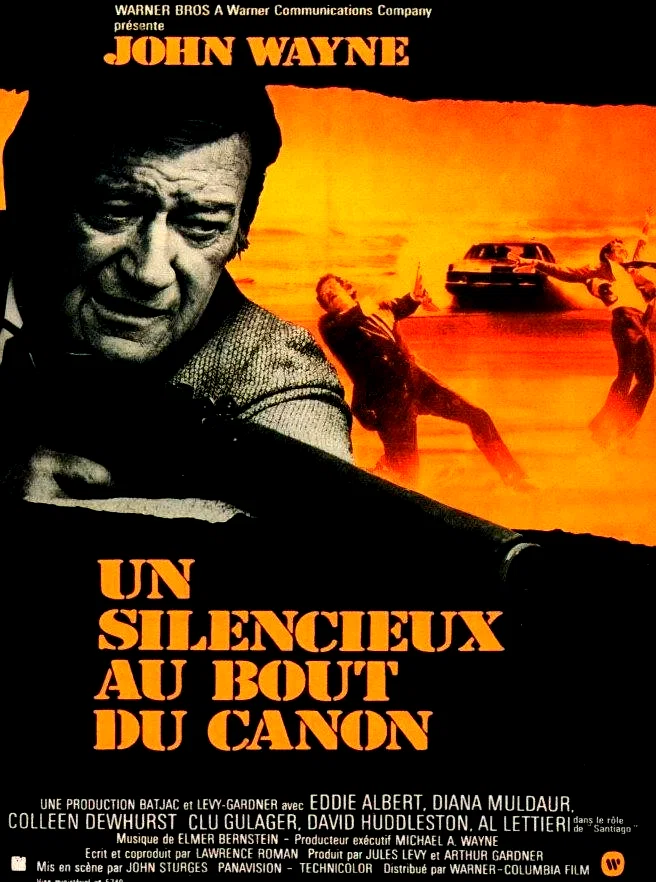 Affiche du film : Un silencieux au bout du canon
