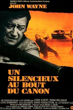 Affiche du film : Un silencieux au bout du canon
