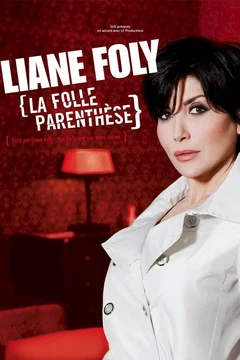 Affiche du film La parenthese