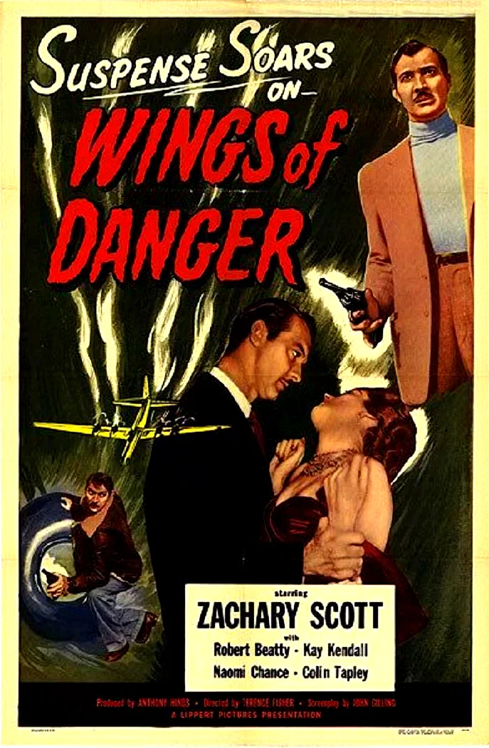 Affiche du film : Wings of danger