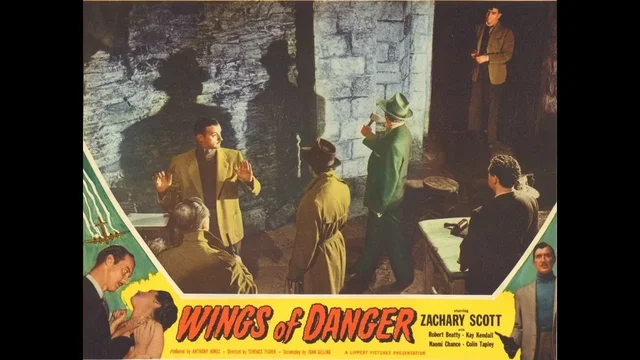 Photo 2 du film : Wings of danger