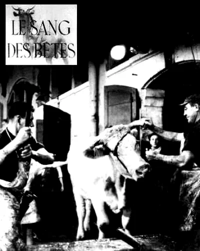 Affiche du film : Le sang des betes