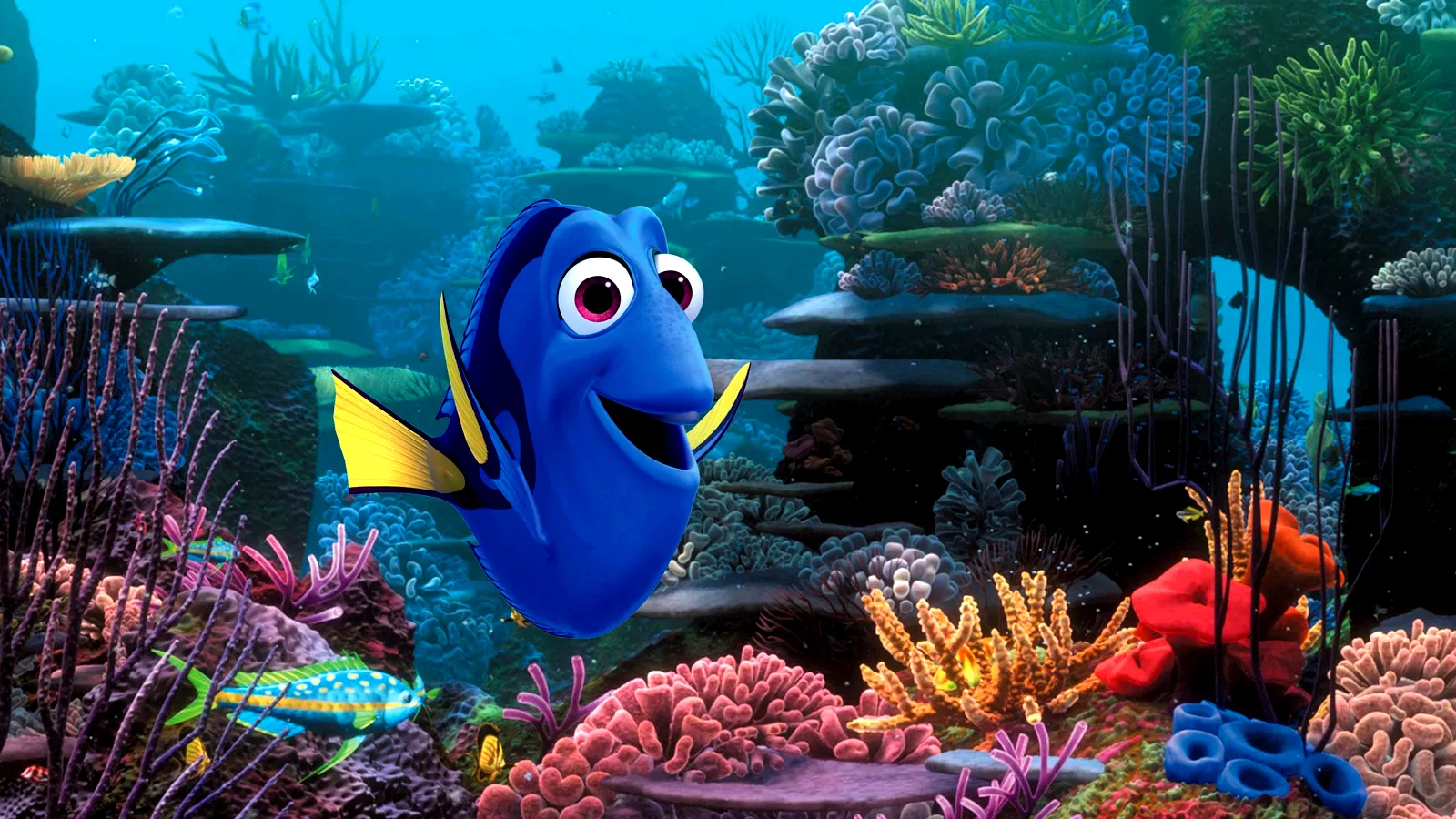 Photo 4 du film : Le Monde de Dory 
