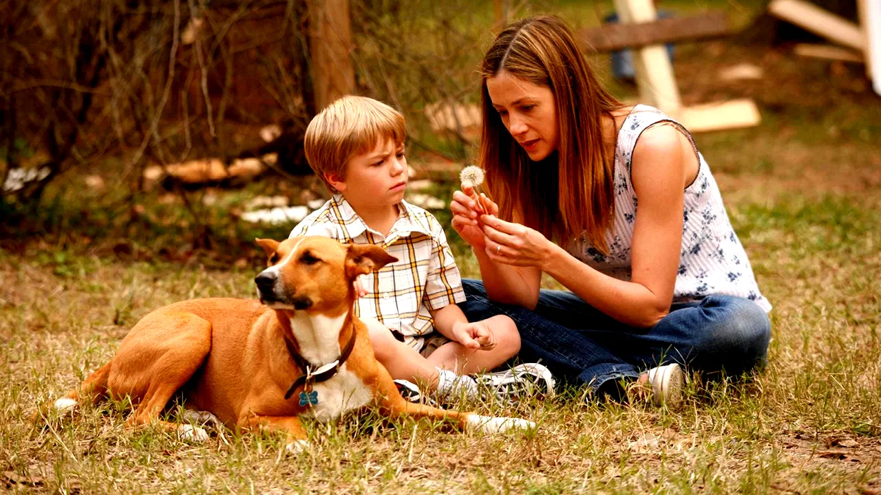 Photo 4 du film : Like Dandelion Dust