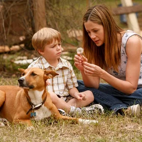 Photo du film : Like Dandelion Dust
