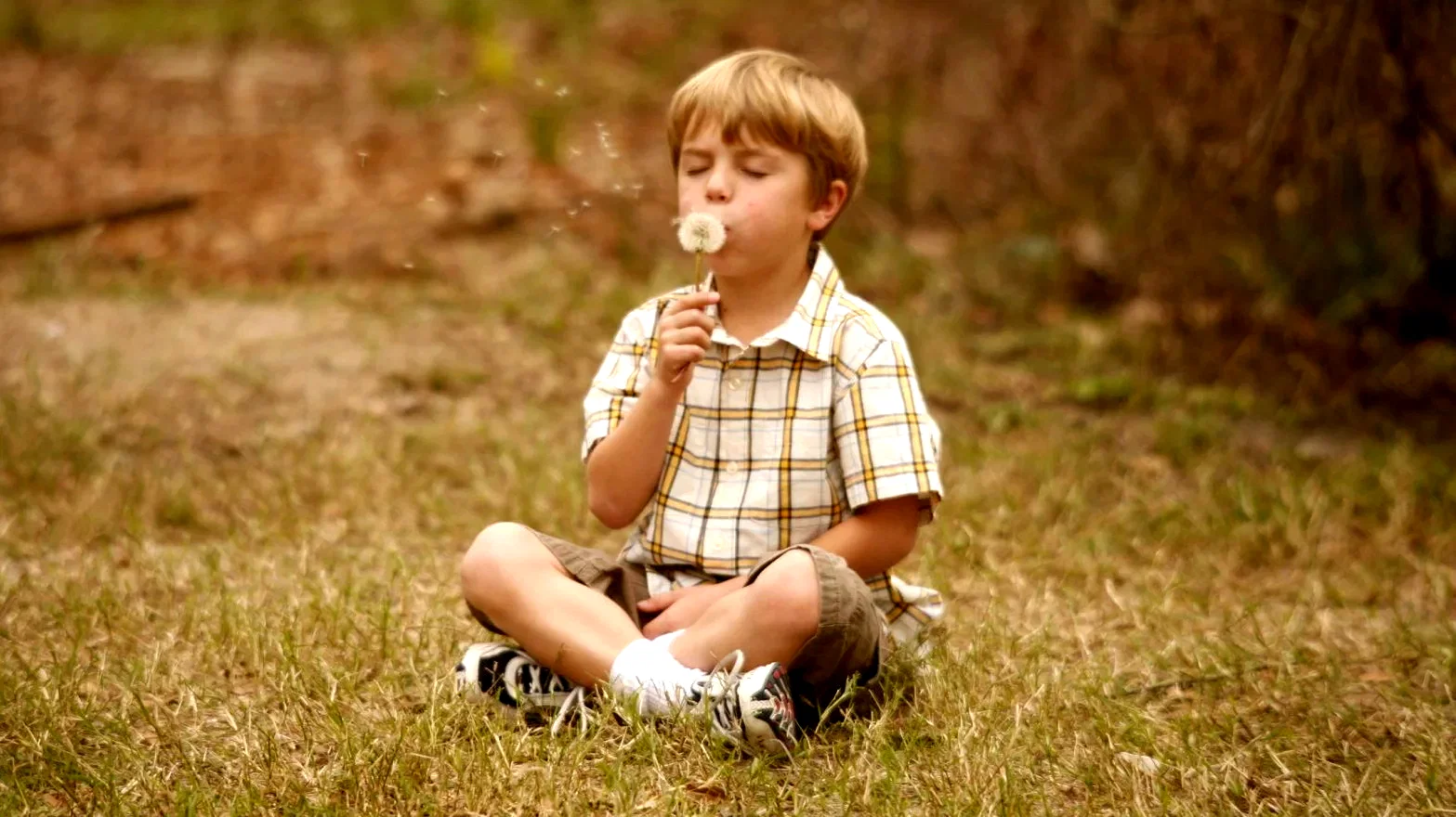 Photo 10 du film : Like Dandelion Dust