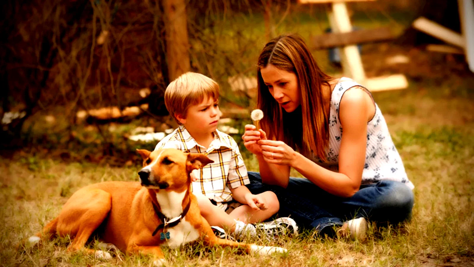 Photo 12 du film : Like Dandelion Dust