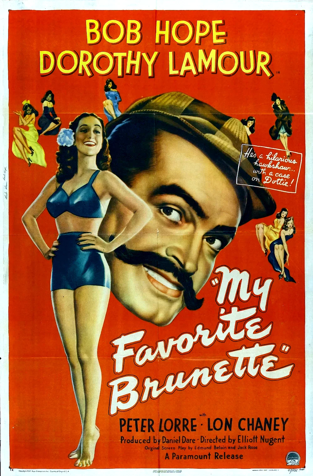 Affiche du film : La brune de mes reves