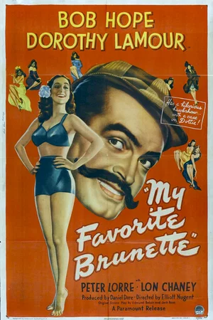 Affiche du film : La brune de mes reves
