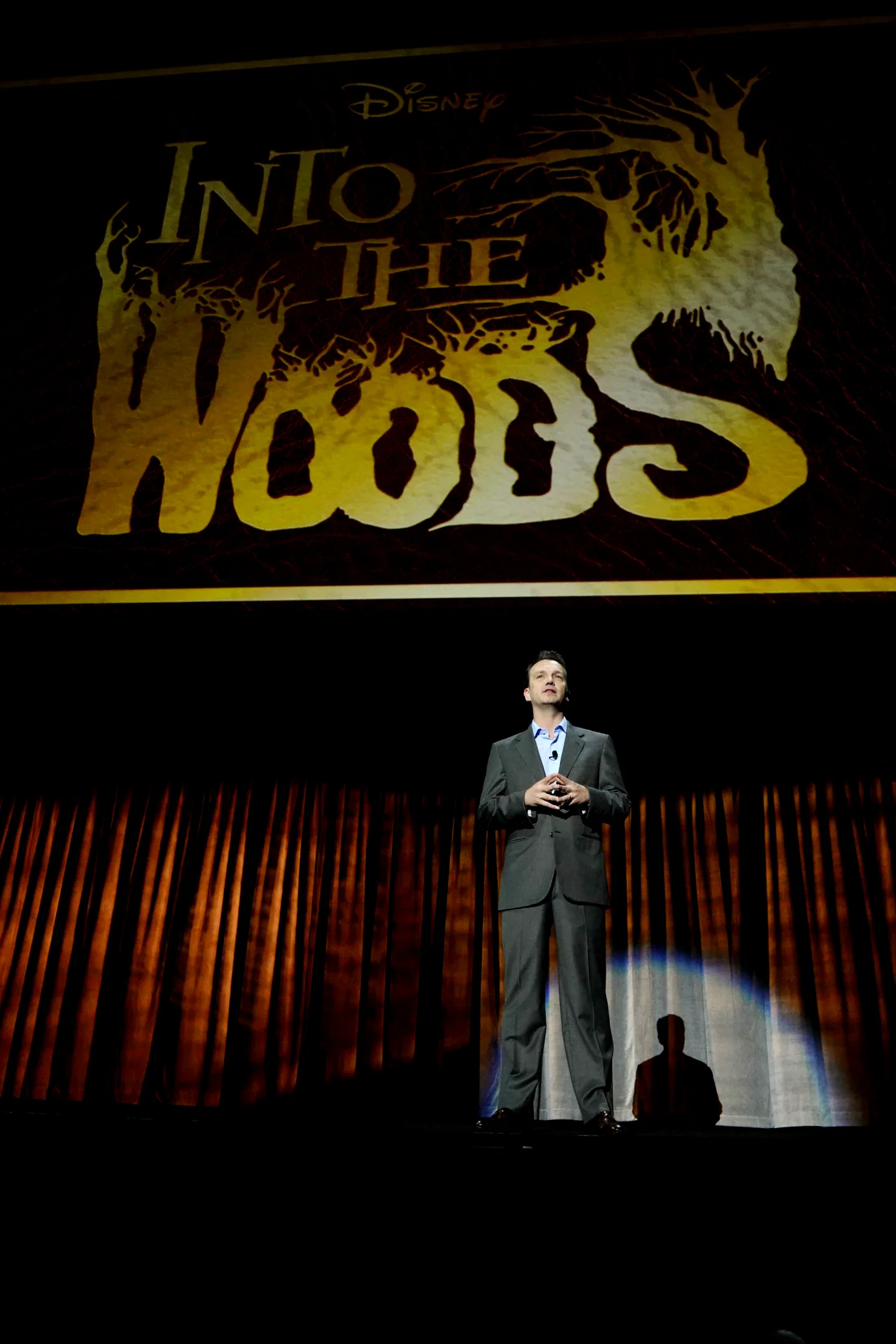 Photo 13 du film : Into the Woods 