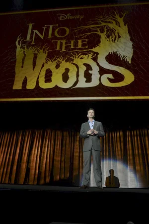 Photo 13 du film : Into the Woods 