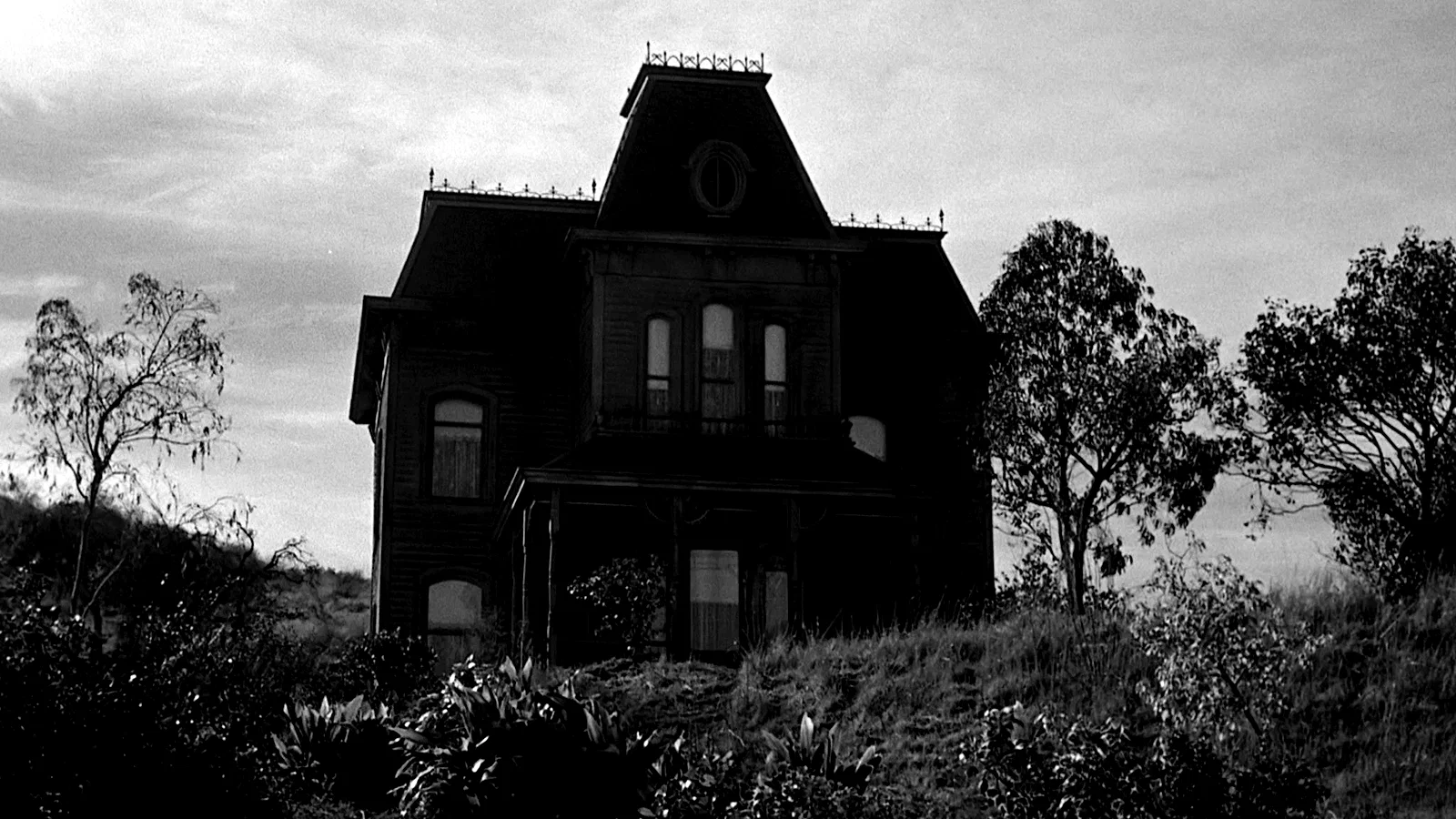 Photo 3 du film : Psychose iii