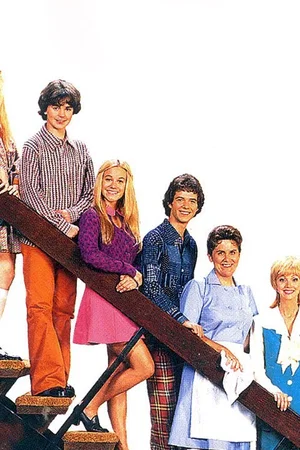 Affiche du film : The brady bunch movie