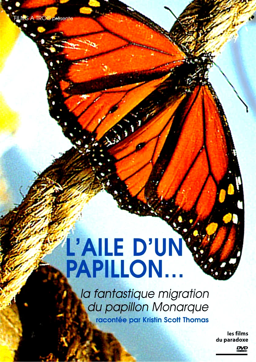 Affiche du film : Papillon