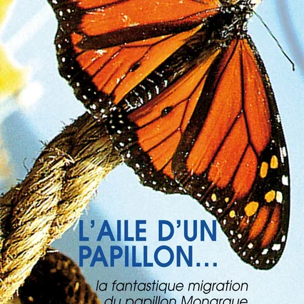 Miniature photo du film : Papillon