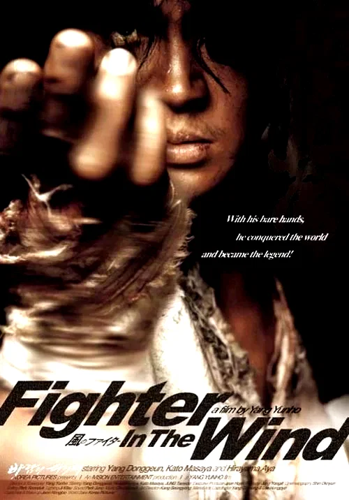 Affiche du film : Fighter in the wind