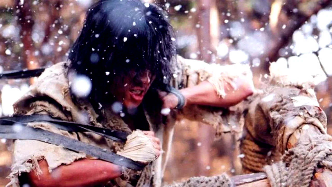 Photo 2 du film : Fighter in the wind