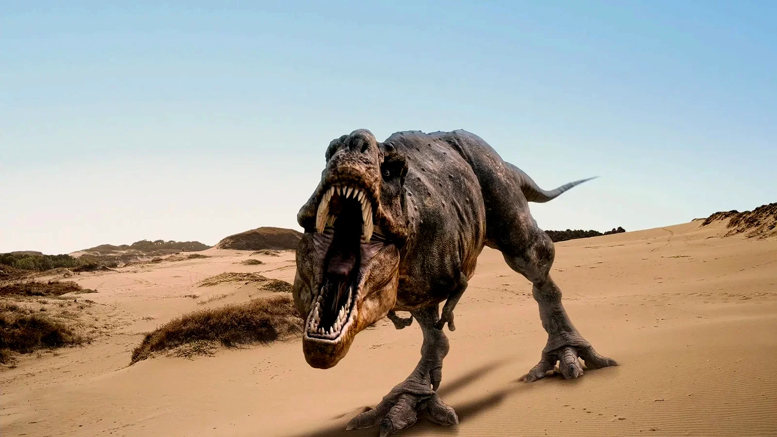 Photo 3 du film : Dinosaures...vivants