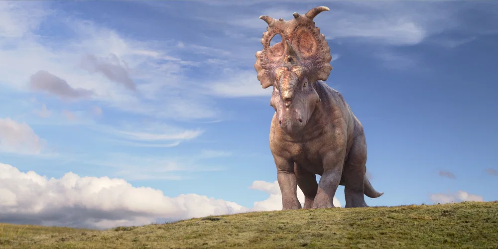 Photo 8 du film : Sur la terre des Dinosaures 