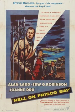 Affiche du film Colere noire