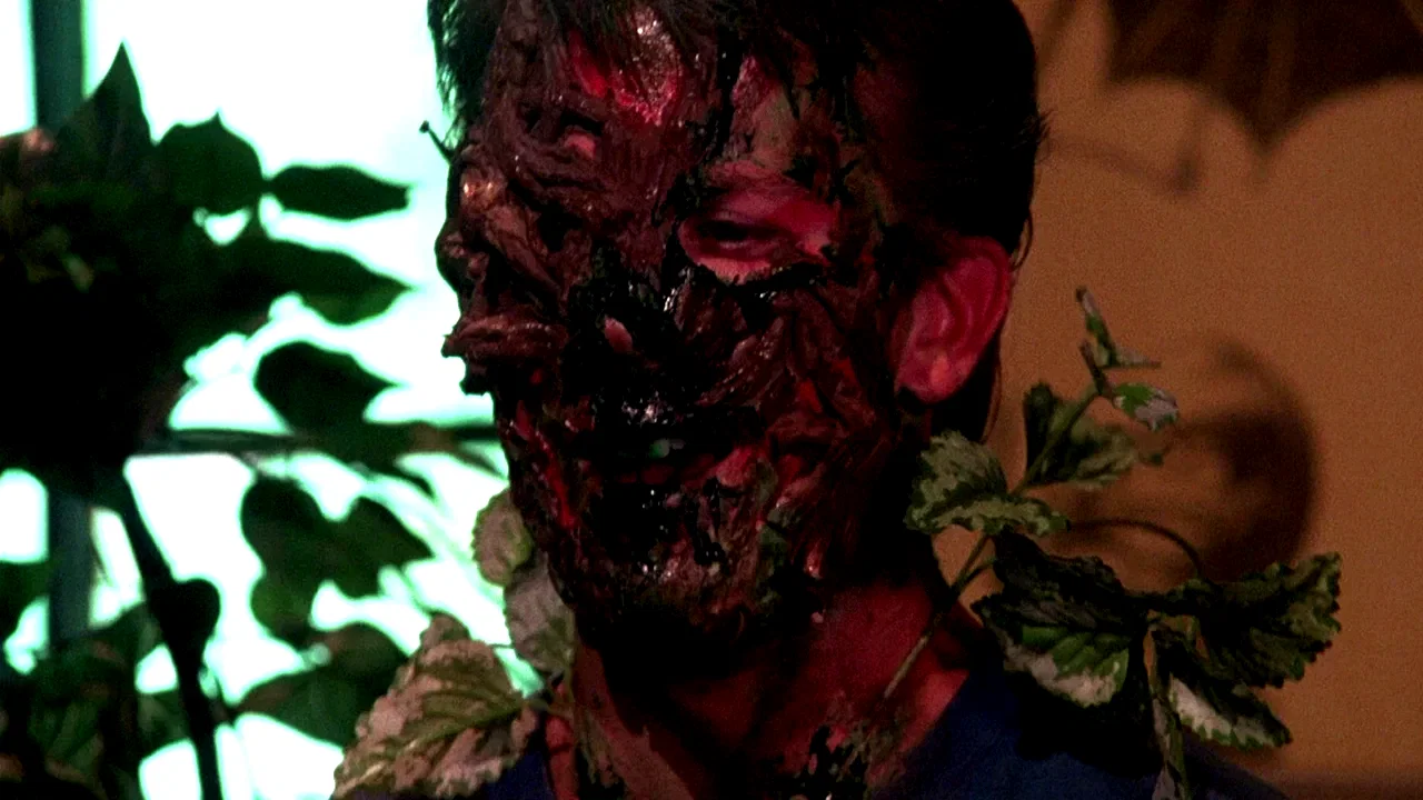 Photo 8 du film : Troll 2