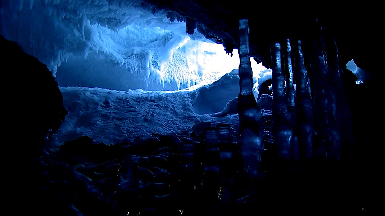 Photo 3 du film : Encounters at the end of the world
