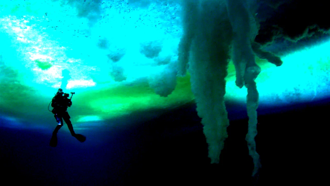 Photo 4 du film : Encounters at the end of the world