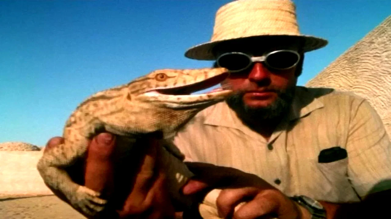 Photo 2 du film : Fata Morgana