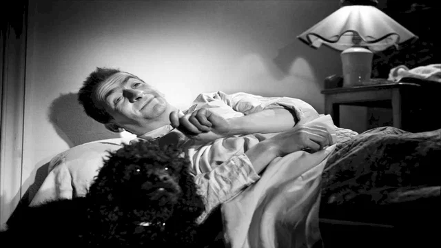Photo 2 du film : L'amour n'est pas un peche