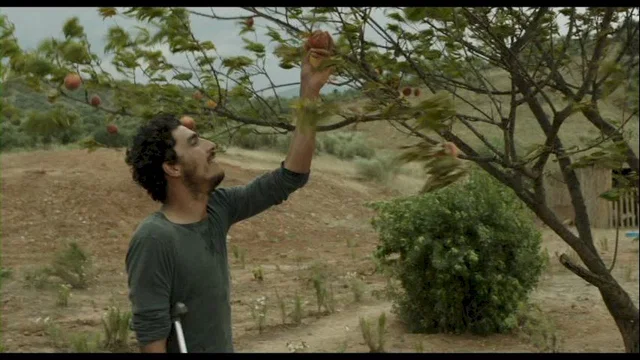 Photo 9 du film : Yema