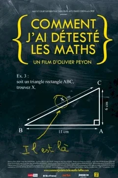 Affiche du film = Comment j'ai detesté les Maths
