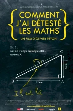 Affiche du film : Comment j'ai detesté les Maths