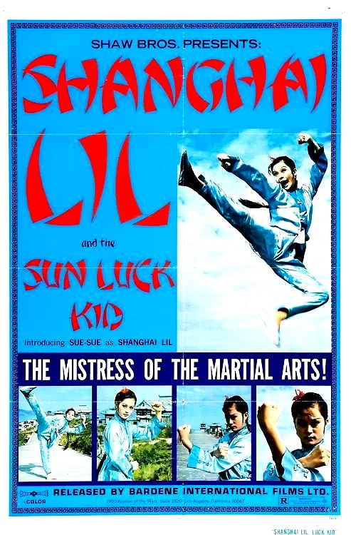 Affiche du film : King karate