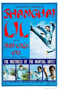 Affiche du film King karate